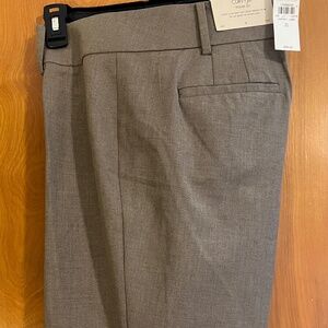 Ann Taylor Trouser leg